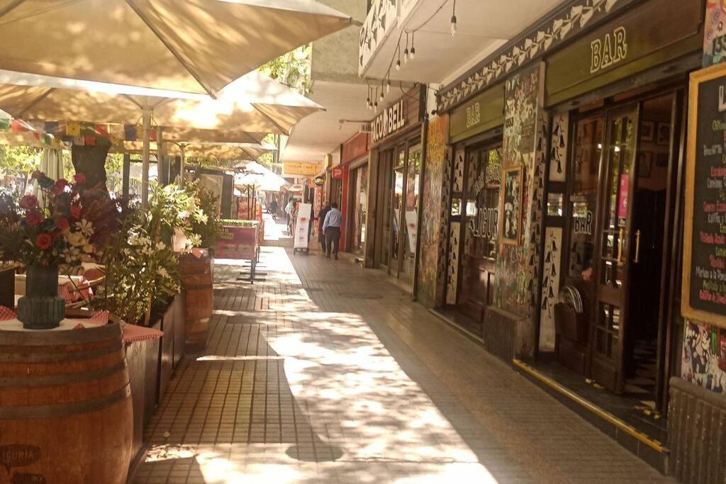 Apartamento En El Corazon Del Barrio Providencia, Tranquilo Y Confortable Departamento Santiago